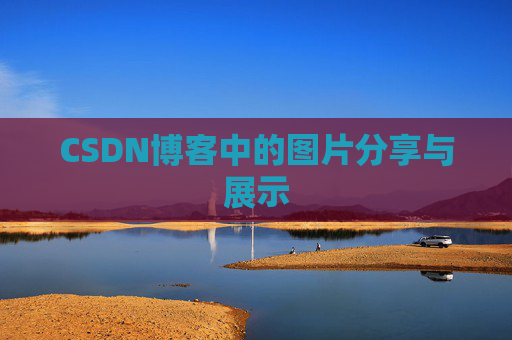 CSDN博客中的图片分享与展示
